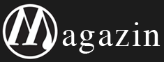 WordPress Magazin