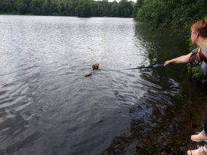 Charly im Rotbachsee