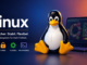 Linux Header