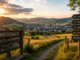 Medebach Header